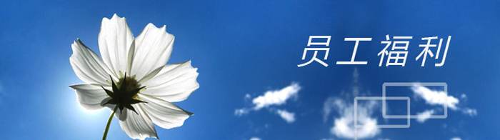 網(wǎng)站關鍵詞